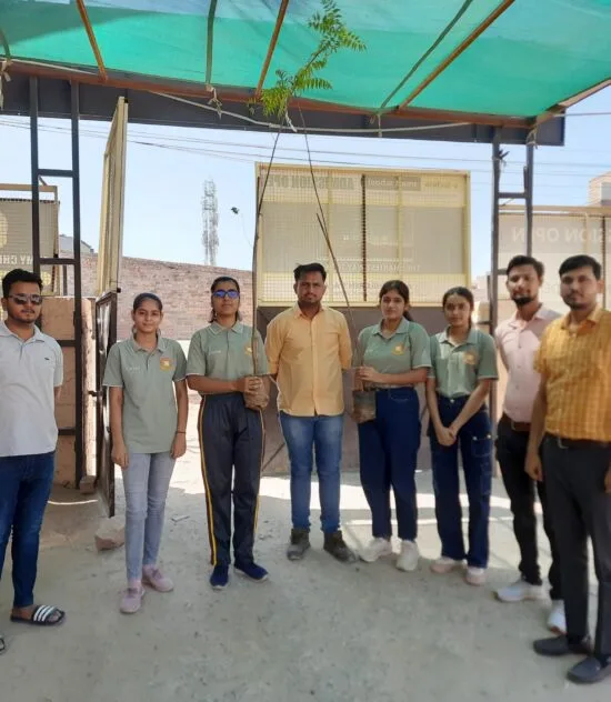 Tree Plantation