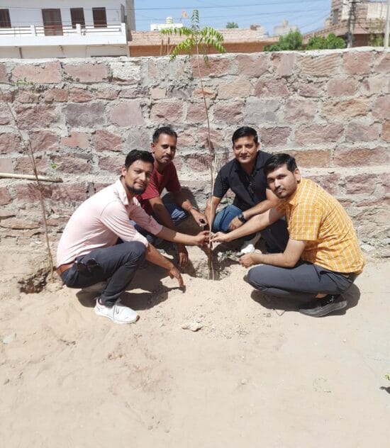 Tree plantation5