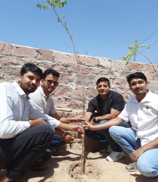 Tree plantation6