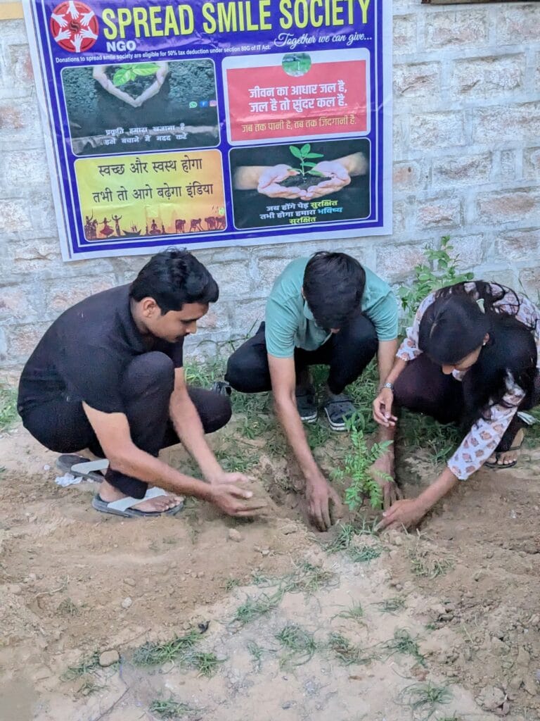 tree planatation7